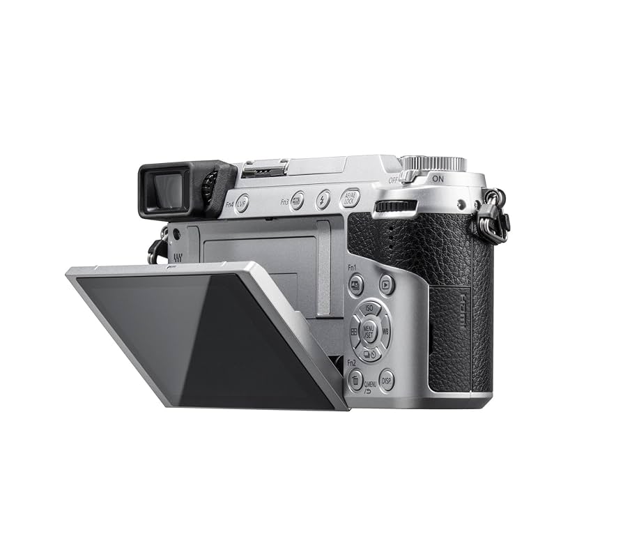 Amazon Canada: Panasonic mirrorless Single-Lens Camera LUMIX